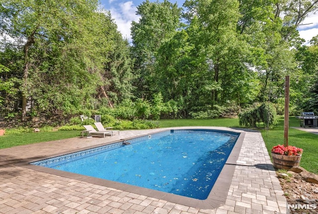275 Gregory Rd, Franklin Lakes, NJ 07417 - outdoor pool with a yard, grilling area, a patio, and view of scattered trees