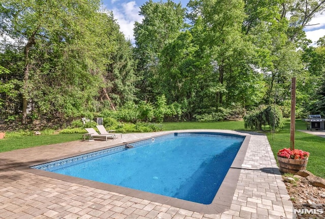 275 Gregory Rd, Franklin Lakes, NJ 07417 - outdoor pool with a yard, area for grilling, a patio, and view of wooded area