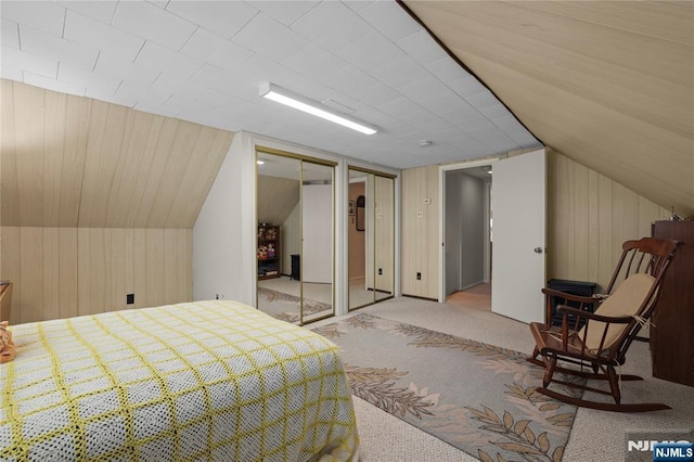 51 Sunrise Ter, Cedar Grove, NJ 07009 - carpeted bedroom with wooden walls, two closets, and lofted ceiling
