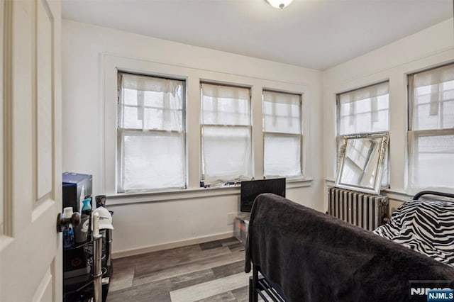 21 Berkeley Ave, Belleville, NJ 07109 - bedroom featuring radiator, multiple windows, wood finished floors, and baseboards