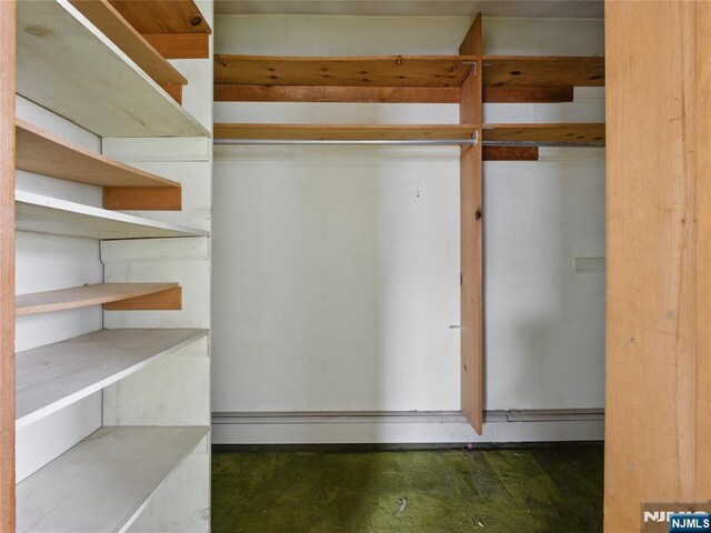 685 Maple Ave, Ridgefield, NJ 07657 - view of walk in closet