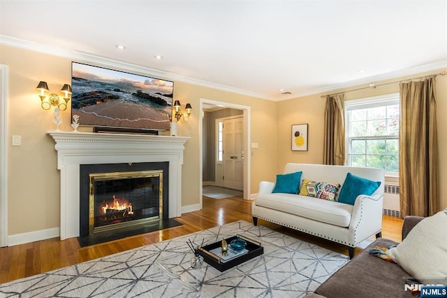 9 Stonewood Pkwy, Verona, NJ 07044 - living room with radiator heating unit, ornamental molding, wood finished floors, baseboards, and a fireplace with flush hearth