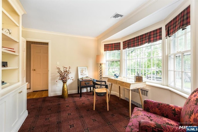9 Stonewood Pkwy, Verona, NJ 07044 - office area with radiator, dark carpet, plenty of natural light, ornamental molding, and baseboards