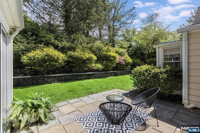 9 Stonewood Pkwy, Verona, NJ 07044 - view of patio