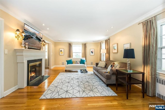 9 Stonewood Pkwy, Verona, NJ 07044 - living room featuring radiator, ornamental molding, a fireplace with flush hearth, wood finished floors, and baseboards