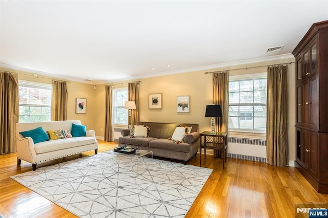 9 Stonewood Pkwy, Verona, NJ 07044 - living area with radiator, light wood-type flooring, and crown molding