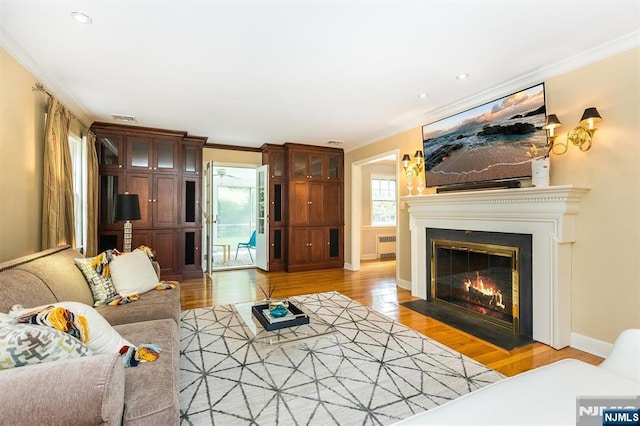 9 Stonewood Pkwy, Verona, NJ 07044 - living room with light wood finished floors, radiator, a fireplace with flush hearth, crown molding, and baseboards