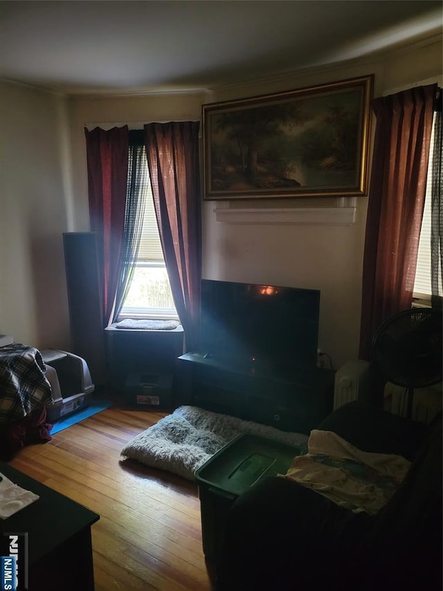 55 James, Bloomfield, NJ 07003 - living room with wood-type flooring