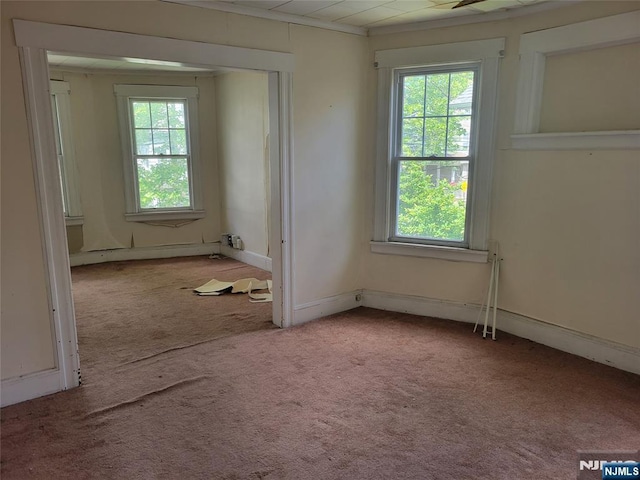 55 James, Bloomfield, NJ 07003 - carpeted spare room featuring plenty of natural light and baseboard heating