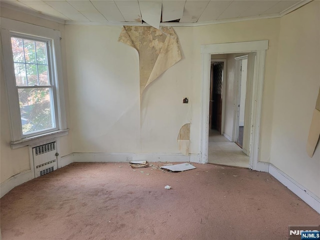 55 James, Bloomfield, NJ 07003 - spare room featuring radiator heating unit, plenty of natural light, carpet flooring, ornamental molding, and baseboards