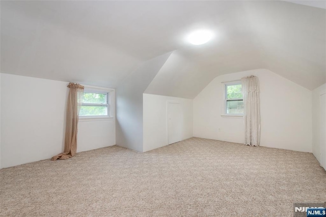 33 Lorelei Rd, West Orange, NJ 07052 - bonus room featuring vaulted ceiling and carpet flooring