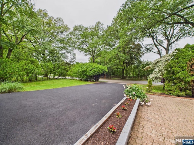 440 Albin Ct, Ridgewood, NJ 07450 - view of road