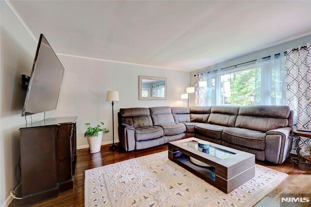 225 William St, River Vale, NJ 07675 - living room with dark wood-type flooring, crown molding, and baseboards