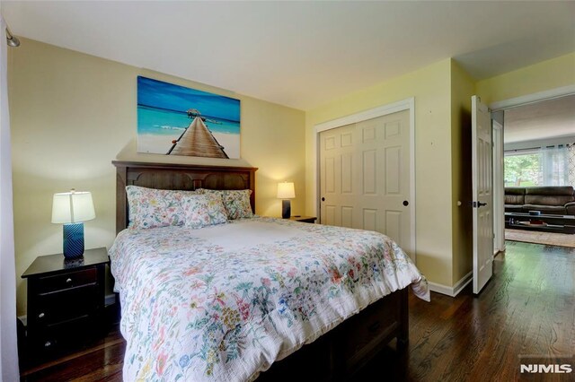225 William St, River Vale, NJ 07675 - bedroom with dark wood-type flooring, baseboards, and a closet