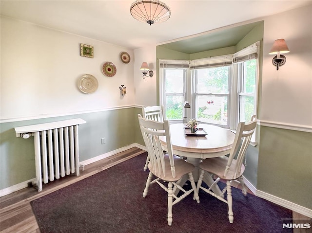 51 Minnehaha Blvd, Par-Troy Hills Twp, NJ 07034 - dining area with radiator, baseboards, and wood finished floors
