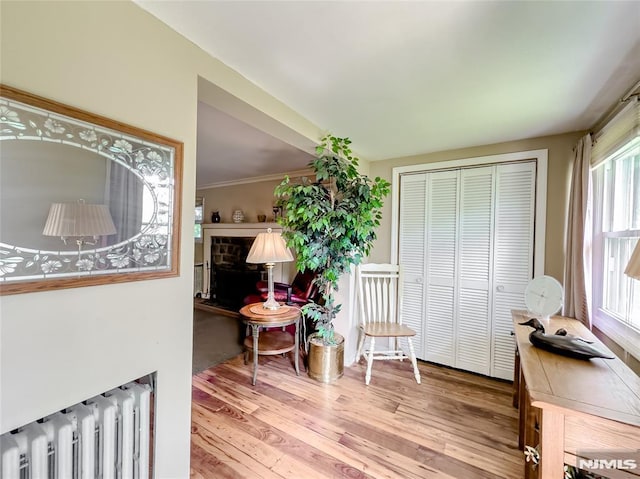 51 Minnehaha Blvd, Par-Troy Hills Twp, NJ 07034 - sitting room with radiator and wood finished floors
