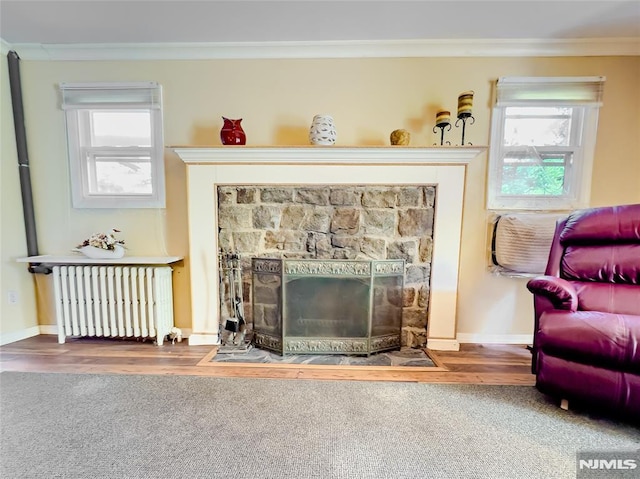 51 Minnehaha Blvd, Par-Troy Hills Twp, NJ 07034 - living area featuring radiator, crown molding, a stone fireplace, plenty of natural light, and baseboards