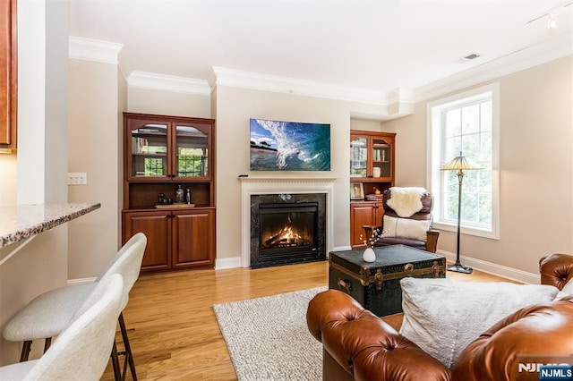 308 Holly Ln Unit 32, Cedar Grove, NJ 07009 - living area featuring a fireplace, light wood-style flooring, ornamental molding, and baseboards