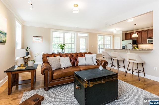 308 Holly Ln Unit 32, Cedar Grove, NJ 07009 - living room featuring light wood-type flooring, crown molding, and baseboards