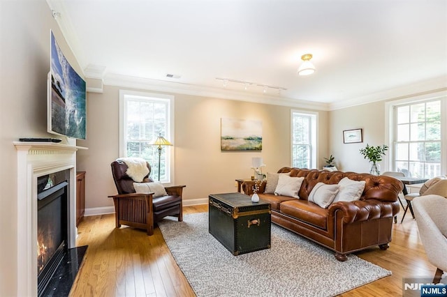 308 Holly Ln Unit 32, Cedar Grove, NJ 07009 - living room with a glass covered fireplace, light wood-type flooring, plenty of natural light, and ornamental molding