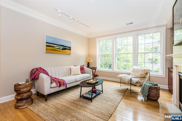 308 Holly Ln Unit 32, Cedar Grove, NJ 07009 - living area with track lighting, light wood-style flooring, crown molding, baseboards, and a fireplace