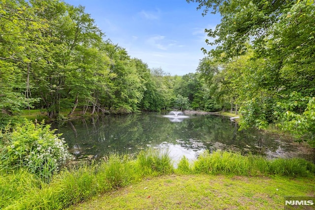 6 Lauren Pond Ct, Demarest, NJ 07627 - water view with a forest