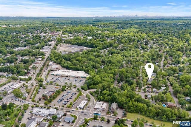 41 Sycamore Ave, Hillsdale, NJ 07642 - aerial view of property and surrounding area