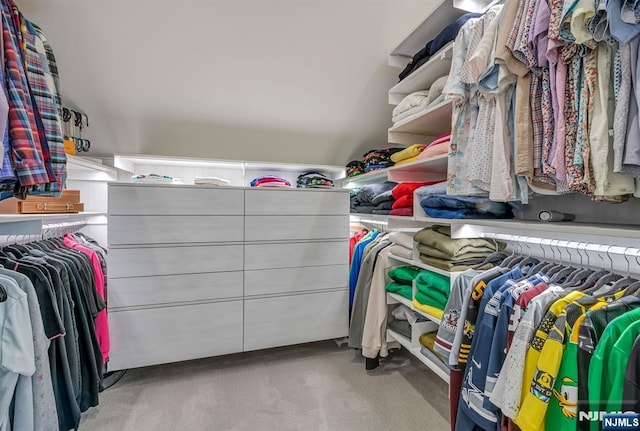 15 Meadowbrook Rd, Upper Saddle River, NJ 07458 - spacious closet with carpet flooring