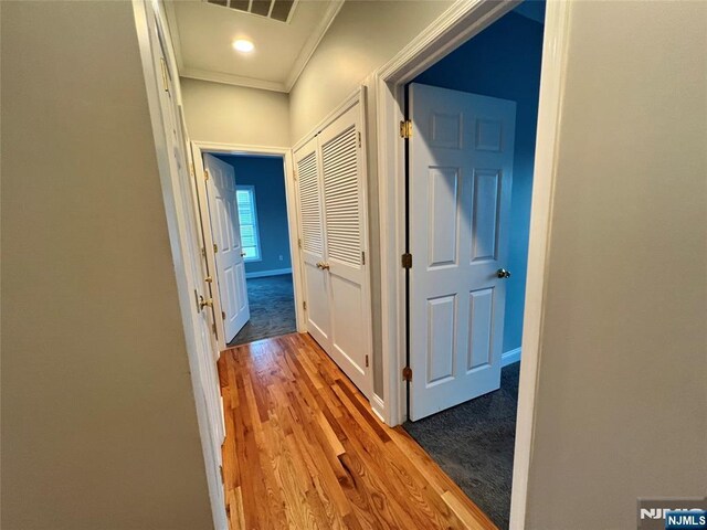 107 Hawthorne Ave Unit D, Park Ridge, NJ 07656 - corridor with wood finished floors, crown molding, and baseboards