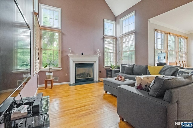 40 Upsala Ct, East Orange, NJ 07017 - living room with light wood finished floors, vaulted ceiling, a fireplace with flush hearth, and baseboards
