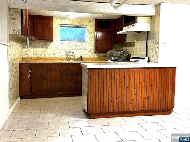128 Oak Ridge Ave, Nutley, NJ 07110 - kitchen featuring a sink, under cabinet range hood, tasteful backsplash, and open shelves