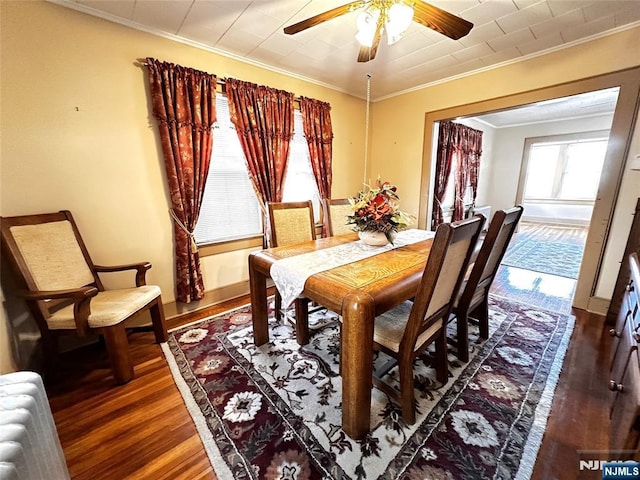 128 Oak Ridge Ave, Nutley, NJ 07110 - dining area featuring crown molding, dark wood-type flooring, a ceiling fan, and radiator heating unit