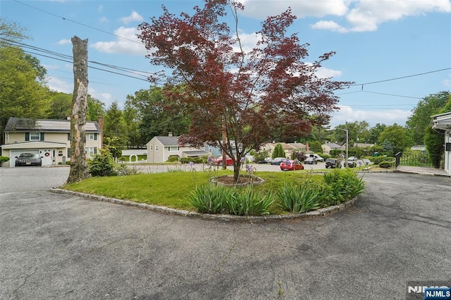 26 Howard Pl, Waldwick, NJ 07463 - view of asphalt road with curbs and a residential view