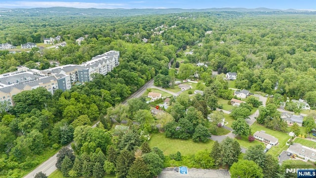 58 Maple Ave, Montville Township, NJ 07058 - drone / aerial view of a forest