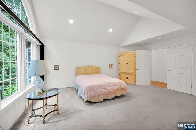 8 Pine Lake Ter Unit T008, River Vale, NJ 07675 - bedroom with carpet floors, baseboards, recessed lighting, and high vaulted ceiling