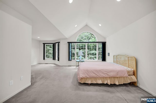 8 Pine Lake Ter Unit T008, River Vale, NJ 07675 - carpeted bedroom with vaulted ceiling, recessed lighting, and baseboards