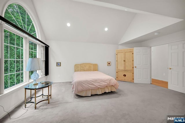 8 Pine Lake Ter Unit T008, River Vale, NJ 07675 - carpeted bedroom with multiple windows, high vaulted ceiling, recessed lighting, and baseboards