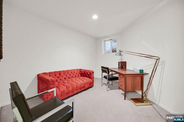 8 Pine Lake Ter Unit T008, River Vale, NJ 07675 - office space with carpet, baseboards, and recessed lighting