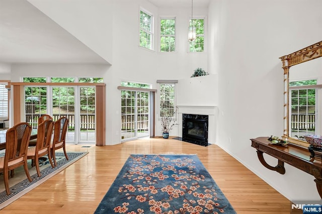 8 Pine Lake Ter Unit T008, River Vale, NJ 07675 - living area with a high end fireplace, wood finished floors, a towering ceiling, and baseboards