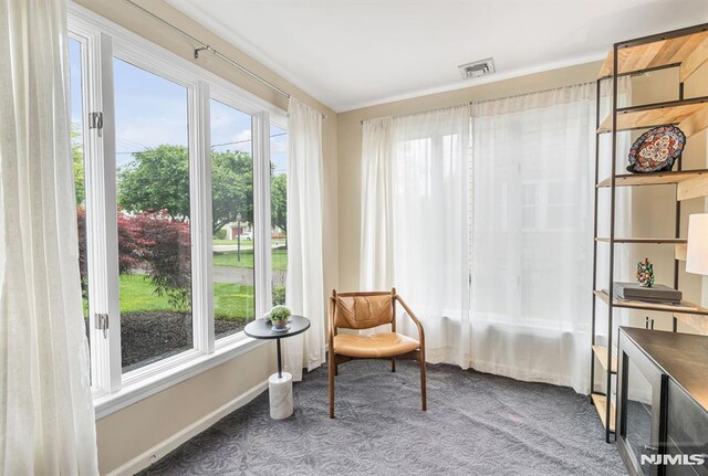 173 Sheridan Ave, Ho-Ho-Kus, NJ 07423 - living area with carpet flooring, plenty of natural light, beverage cooler, and baseboards