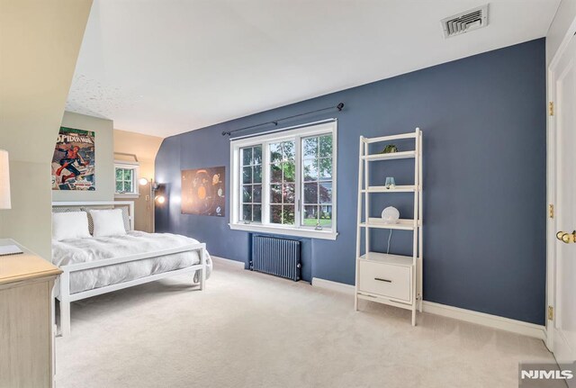 173 Sheridan Ave, Ho-Ho-Kus, NJ 07423 - bedroom featuring radiator, carpet flooring, multiple windows, and baseboards