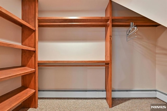 68 Birch St, Ramsey, NJ 07446 - walk in closet featuring carpet flooring