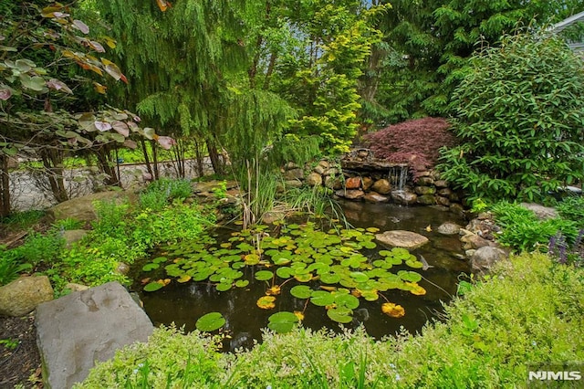 71 Louville Ave, Park Ridge, NJ 07656 - view of yard featuring a small pond
