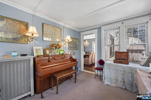 11 Harrington St, Hillsdale, NJ 07642 - living area with carpet and crown molding