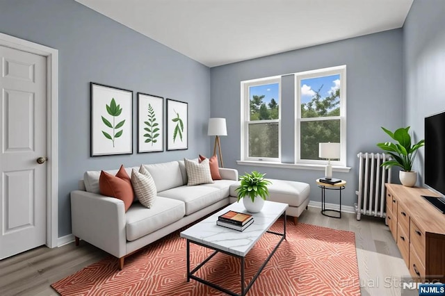 143 Duncan Ave Unit 8/108, Jersey City, NJ 07306 - living room featuring radiator heating unit, baseboards, and light wood-style floors