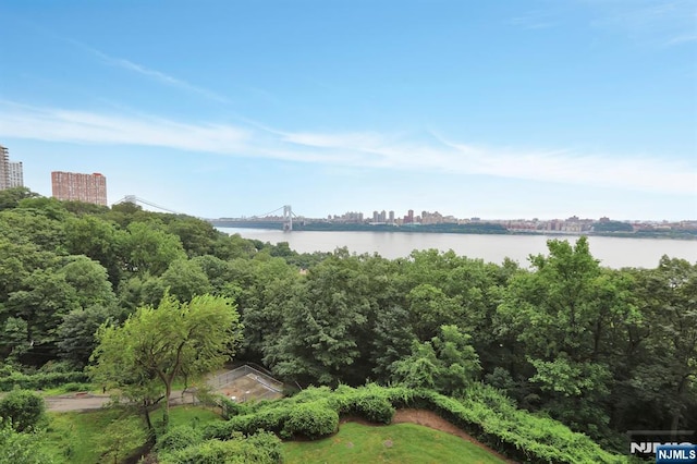 4 Horizon Rd Unit 404, Fort Lee, NJ 07024 - water view with a notable bridge and nearby urban area