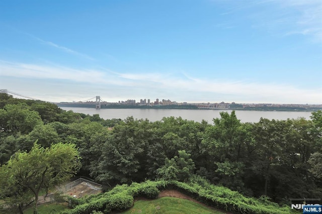 4 Horizon Rd Unit 404, Fort Lee, NJ 07024 - water view featuring a notable bridge