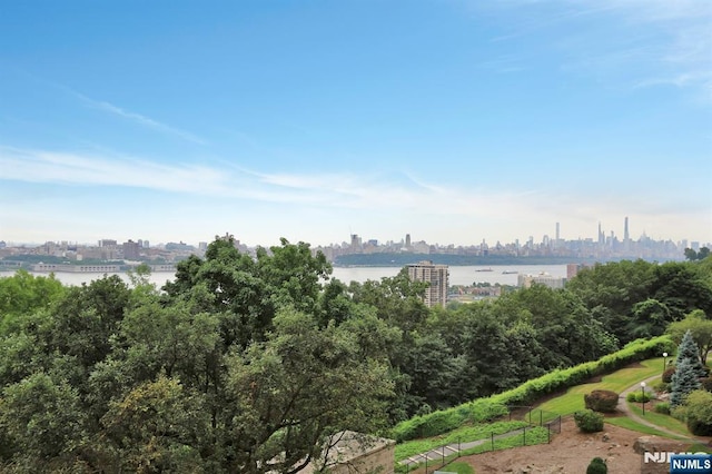 4 Horizon Rd Unit 404, Fort Lee, NJ 07024 - water view with city skyline