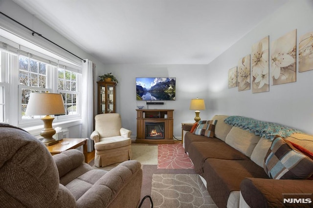 101 Pasadena Pl, Hawthorne, NJ 07506 - living room with a lit fireplace