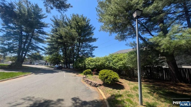 9 Meadowview Ter Unit 9, Fair Lawn, NJ 07410 - view of asphalt road with curbs